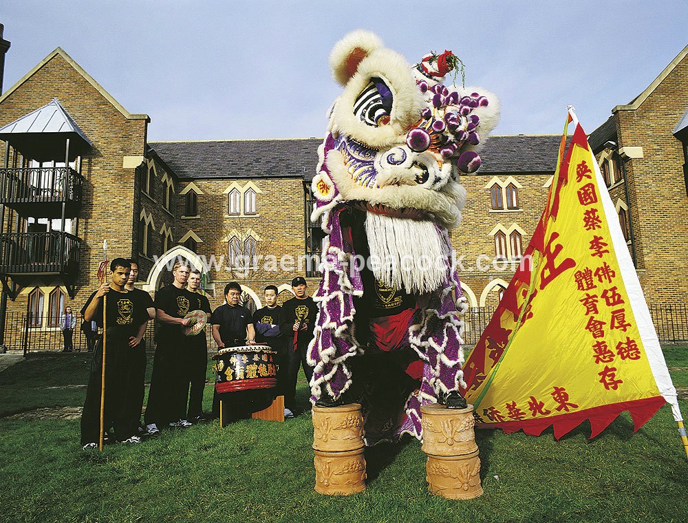 chinese new year 2025 stowell street newcastle