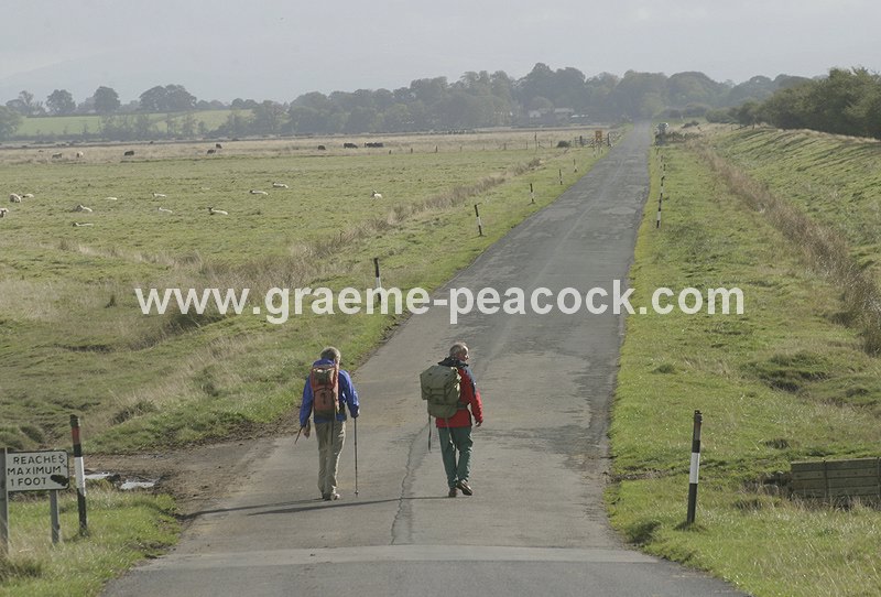 Walkers near Drumburgh, Allerdale, Cumbria