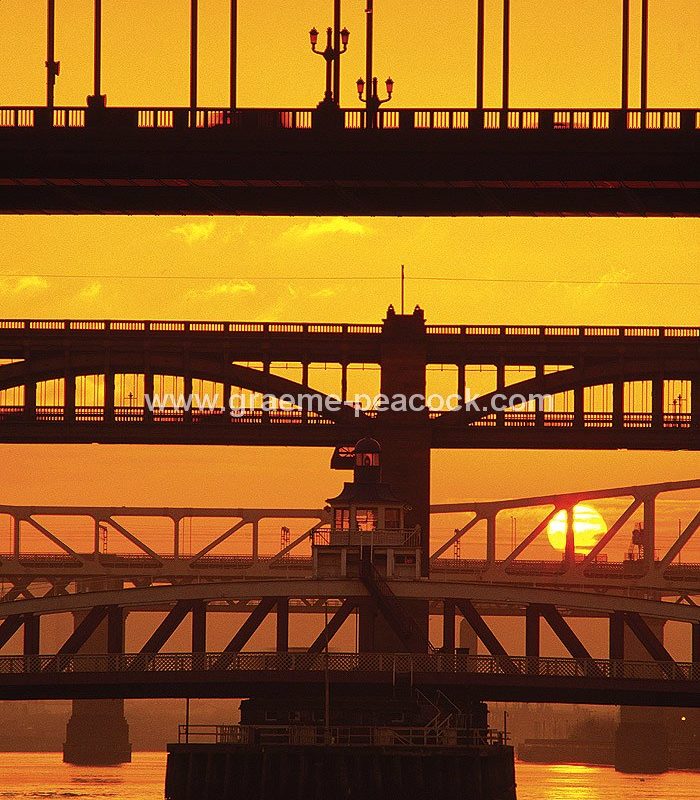 Tyne Bridges at sunset
