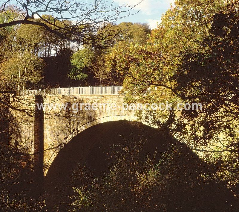 Causey Arch