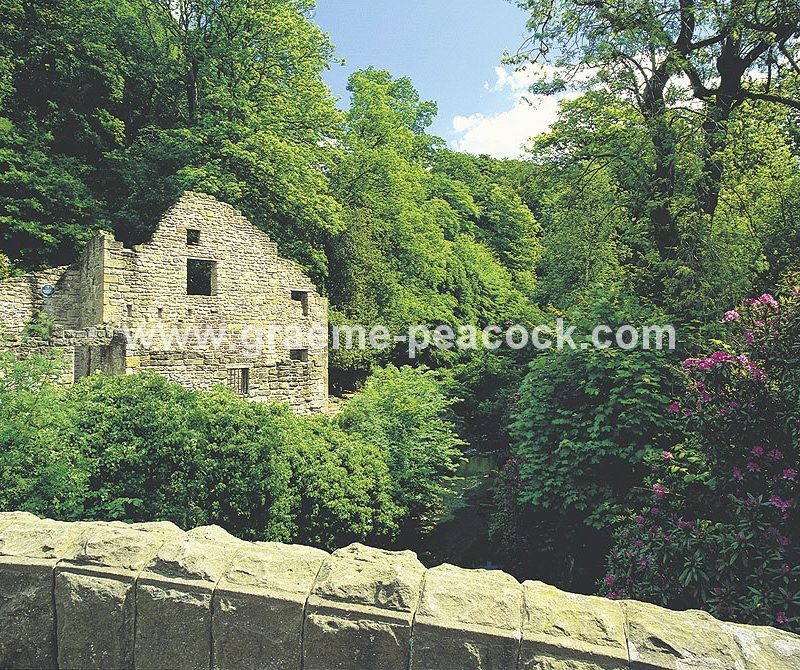 Jesmond Dene