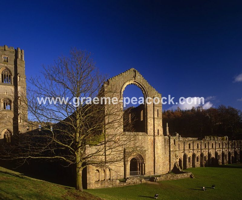 Fountains Abbey, Ripon, North Yorkshire