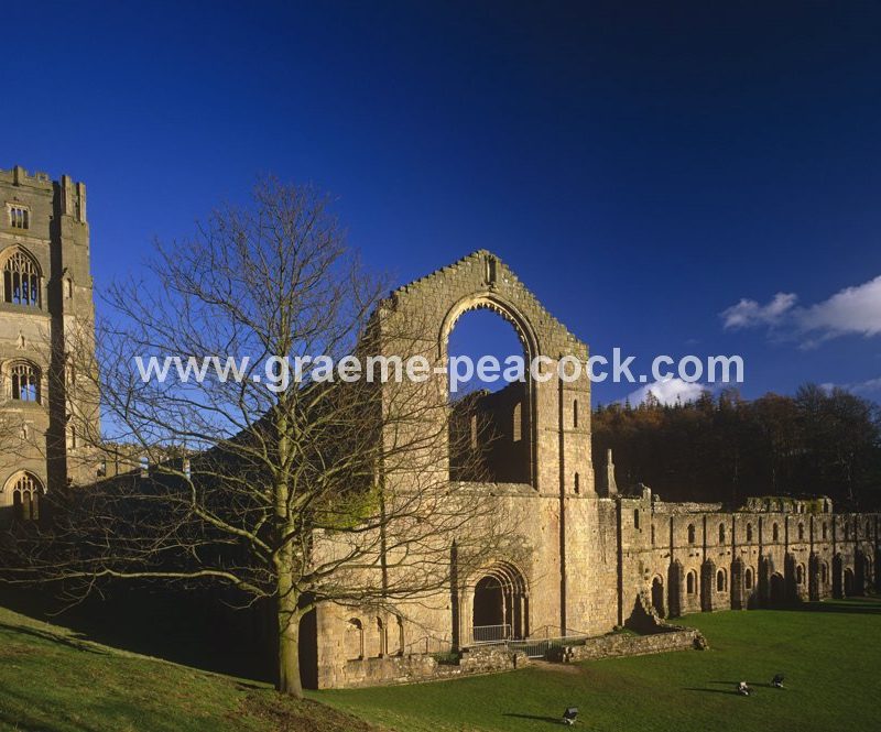 Fountains Abbey, Ripon, North Yorkshire