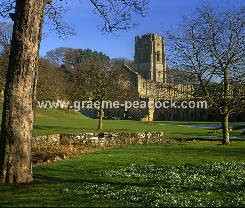 Fountains Abbey, Ripon, North Yorkshire