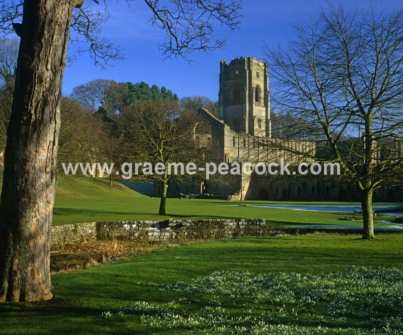 Fountains Abbey, Ripon, North Yorkshire