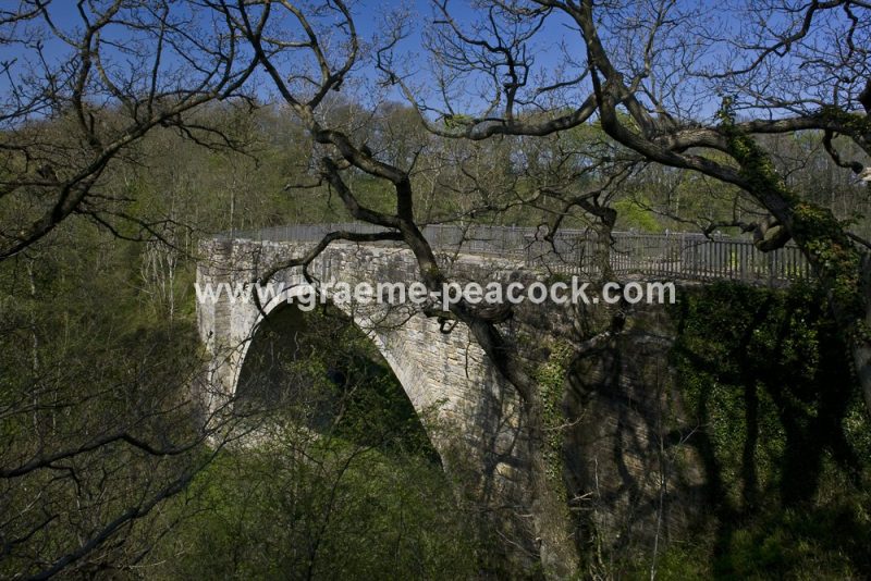 Causey Arch, near Stanley, County Durham