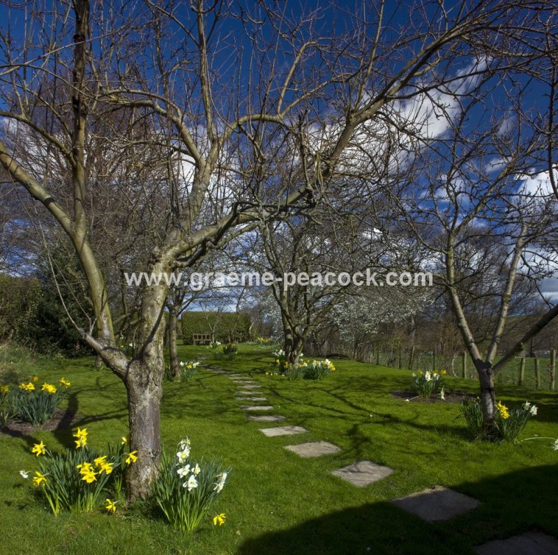 Crook Hall & Gardens, Durham City, County Durham
