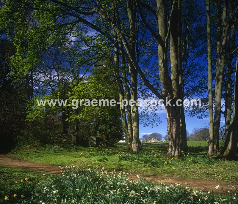 Belsay Estate, Belsay, Northumberland