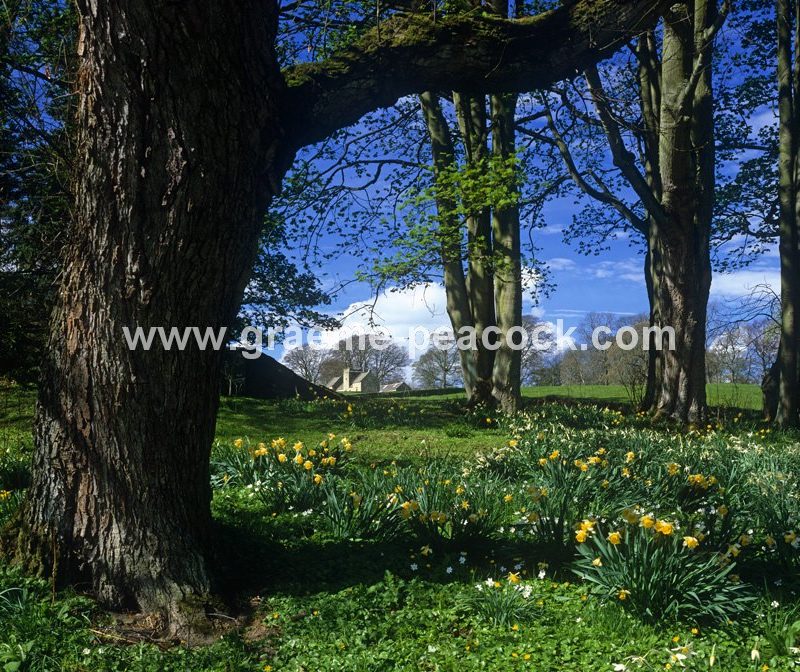 Belsay Estate, Belsay, Northumberland