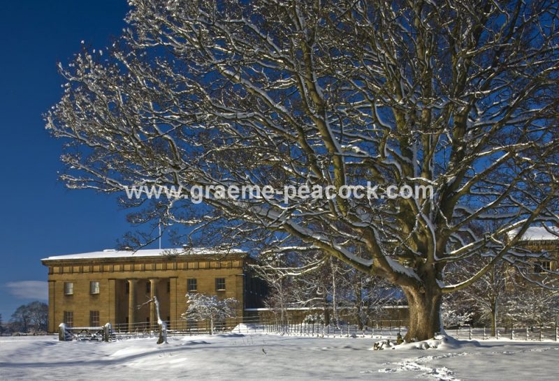 Belsay Hall in winter,  Belsay Estate,  Northumberland