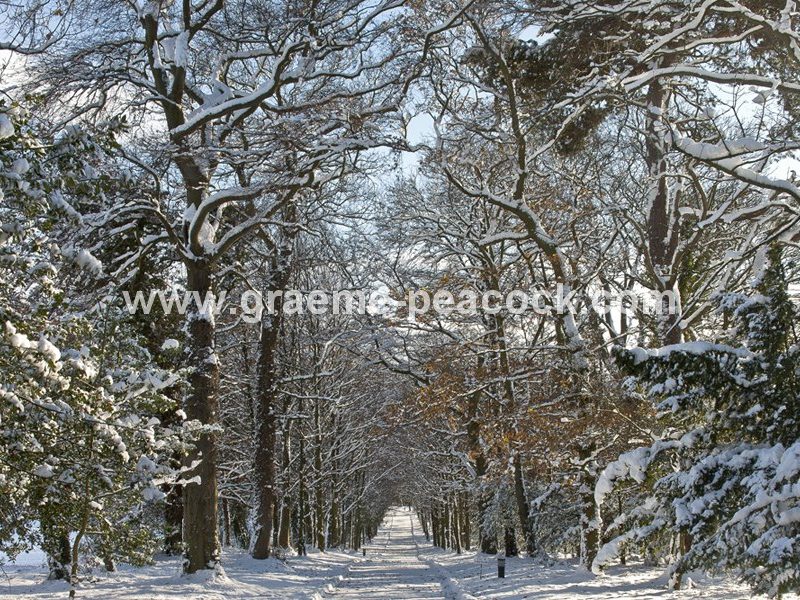 Winter road at Close House Golf Club and Country club near Wylam, Northumberland