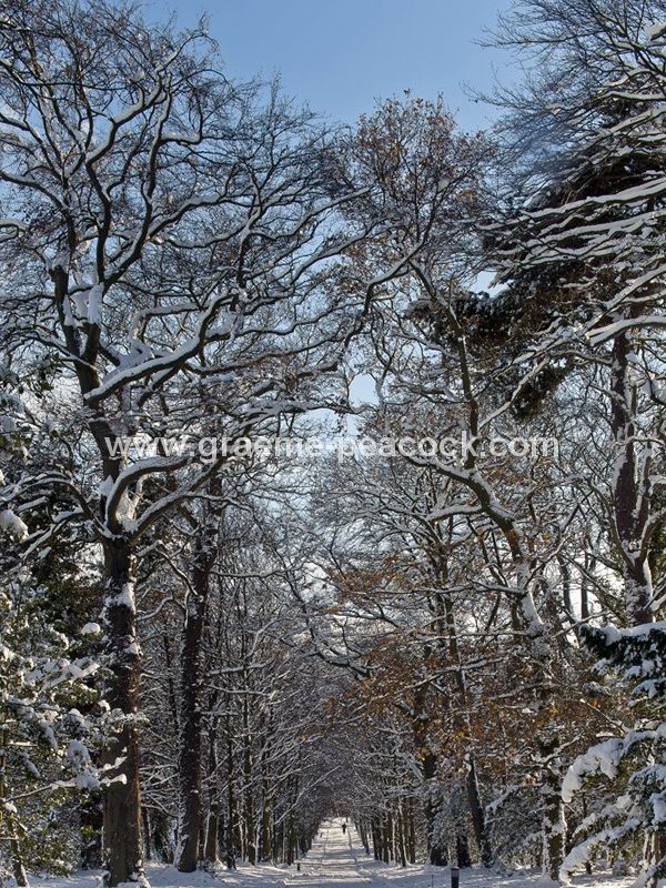 Winter road at Close House Golf Club and Country club near Wylam, Northumberland