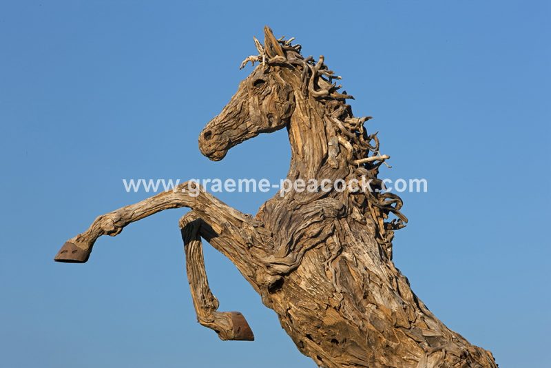 Driftwood stallion, Close House Hotel near Wylam, Northumberland