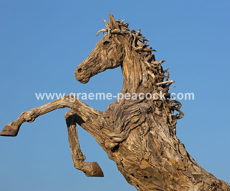 Driftwood stallion, Close House Hotel near Wylam, Northumberland