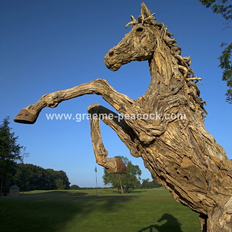 Driftwood stallion, Close House Hotel near Wylam, Northumberland