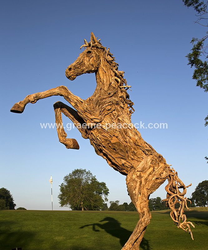 Driftwood stallion, Close House Hotel near Wylam, Northumberland