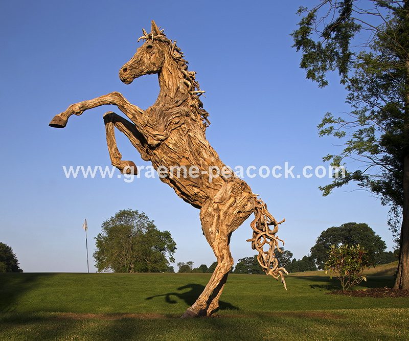 Driftwood stallion, Close House Hotel near Wylam, Northumberland