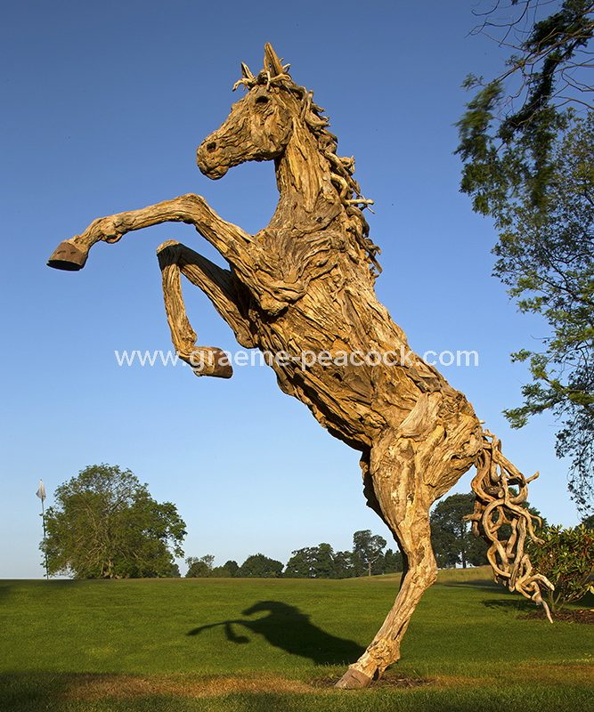 Driftwood stallion, Close House Hotel near Wylam, Northumberland