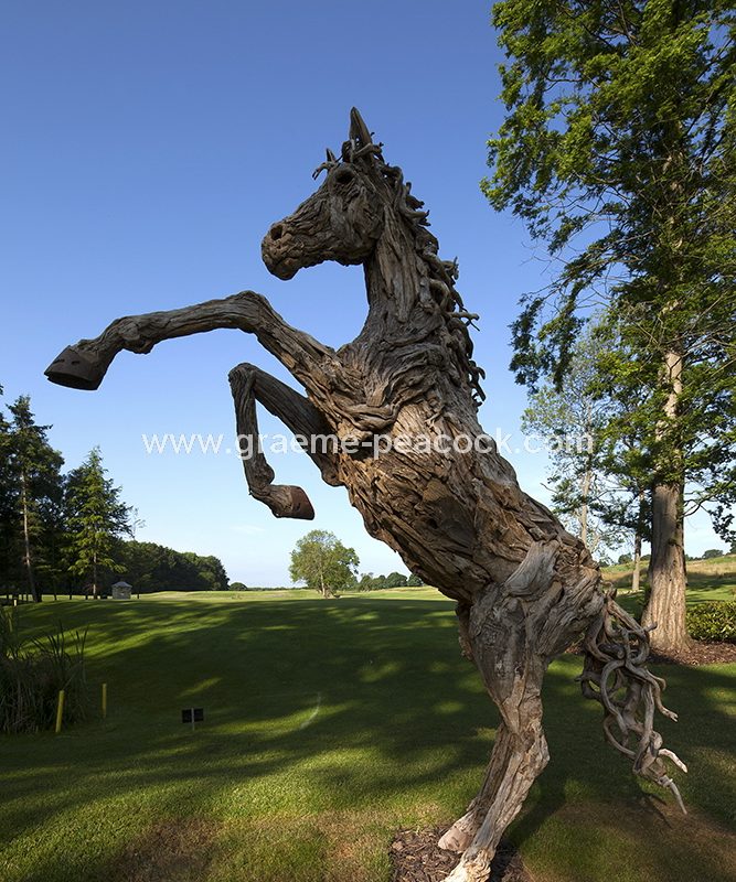 Driftwood stallion, Close House Hotel near Wylam, Northumberland