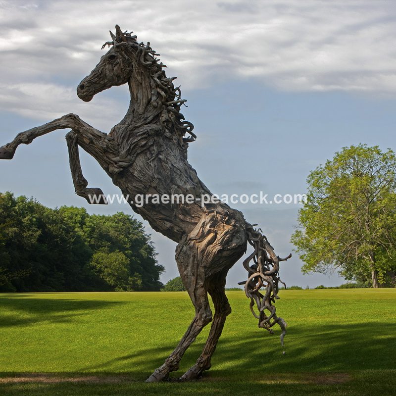 Driftwood stallion, Close House Hotel near Wylam, Northumberland