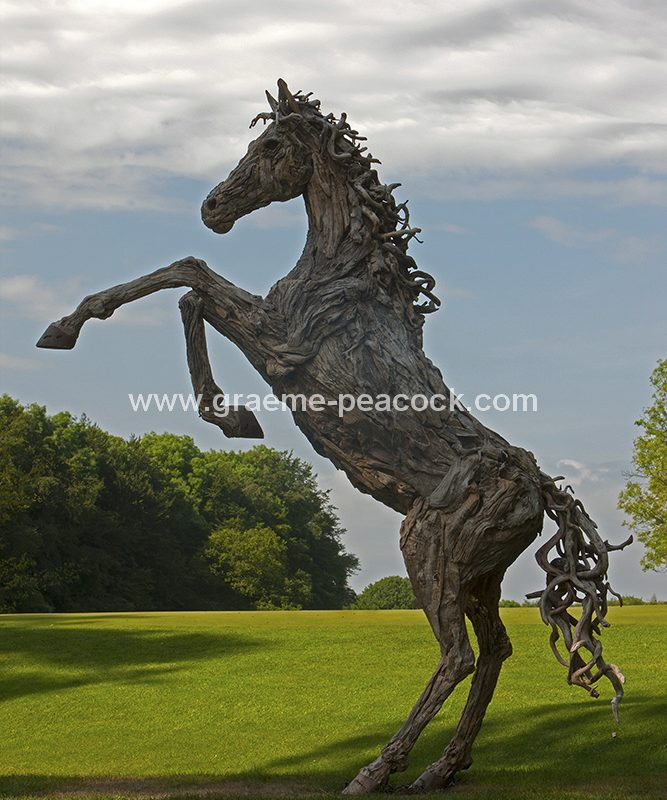 Driftwood stallion, Close House Hotel near Wylam, Northumberland