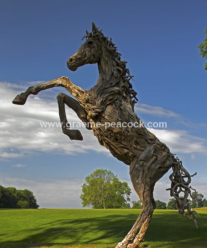 Driftwood stallion, Close House Hotel near Wylam, Northumberland