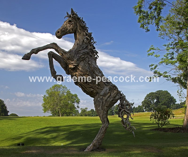 Driftwood stallion, Close House Hotel near Wylam, Northumberland