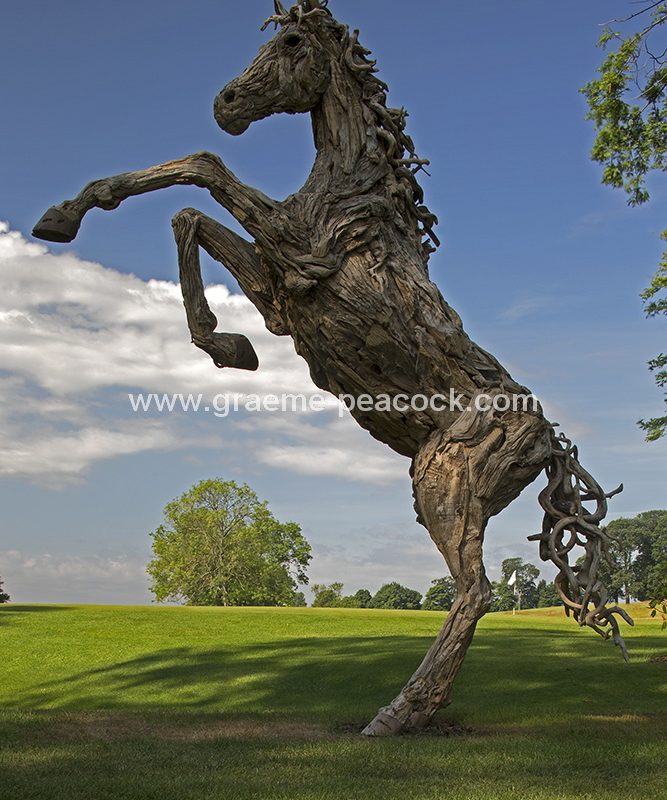 Driftwood stallion, Close House Hotel near Wylam, Northumberland