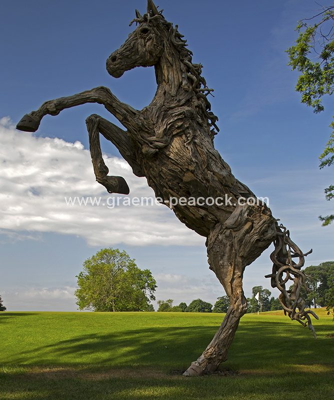 Driftwood stallion, Close House Hotel near Wylam, Northumberland