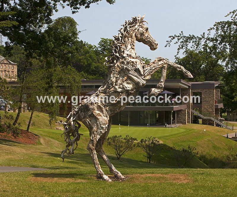 Driftwood stallion, Close House Hotel near Wylam, Northumberland