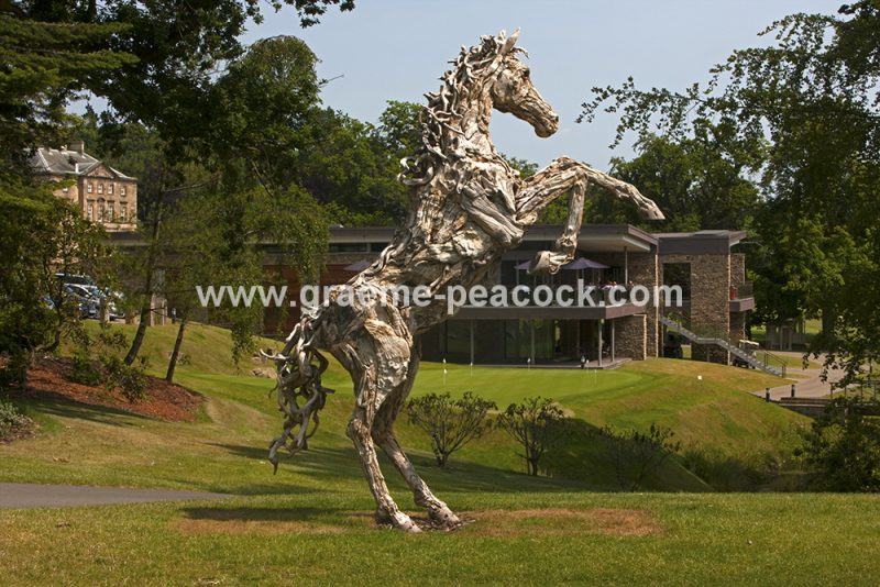 Driftwood stallion, Close House Hotel near Wylam, Northumberland