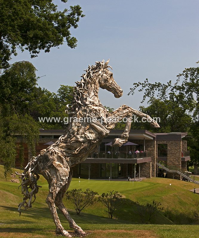 Driftwood stallion, Close House Hotel near Wylam, Northumberland