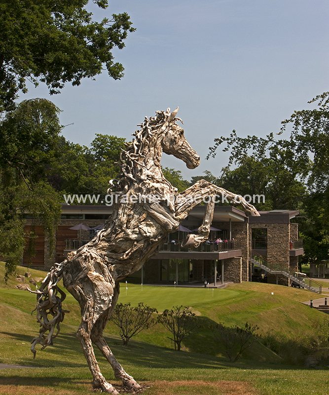 Driftwood stallion, Close House Hotel near Wylam, Northumberland