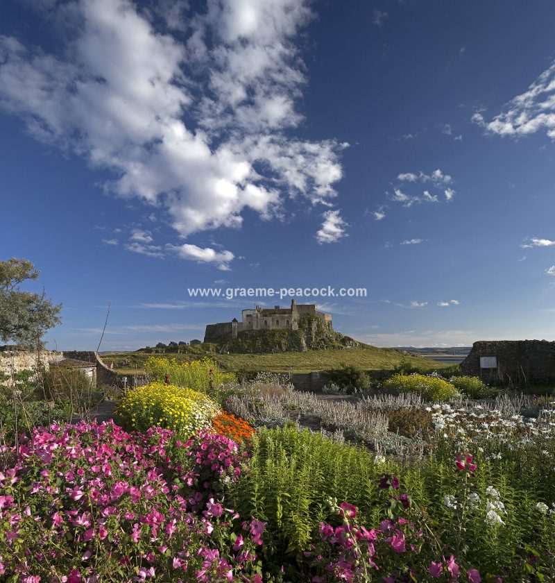 Lindisfarne Walled Garden & Castle, Lindisfarne, Northumberland