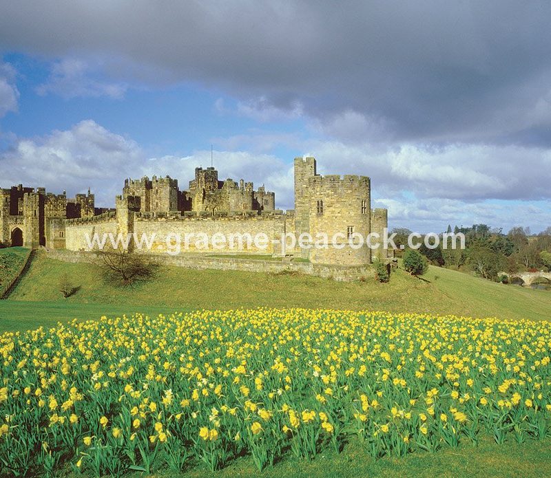 Alnwick Castle in Spring