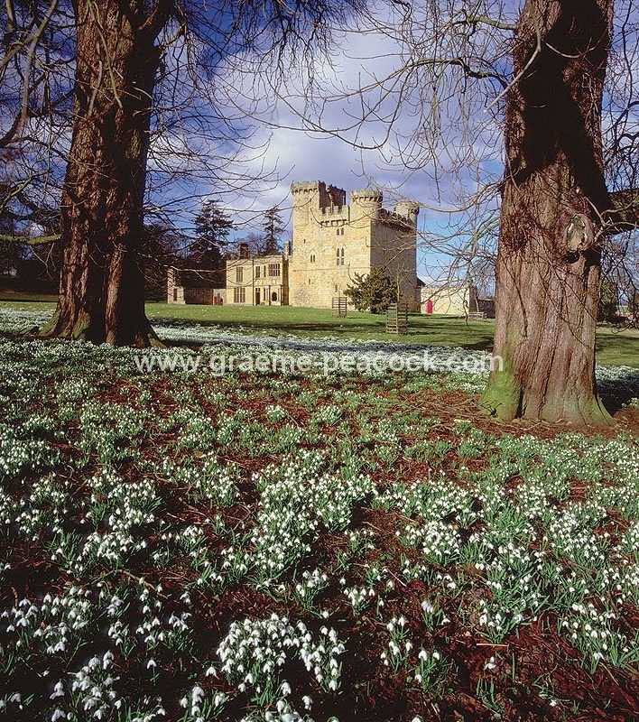 Belsay Castle, Northumberland