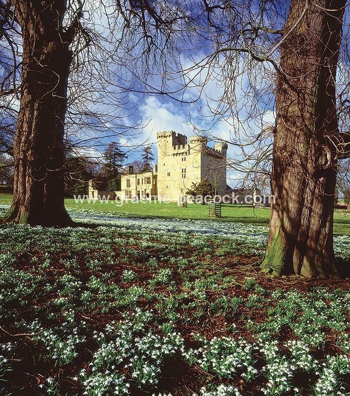 Belsay Castle, Northumberland