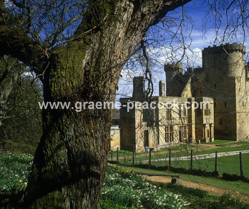 Belsay Castle, Belsay Estate, Northumberland