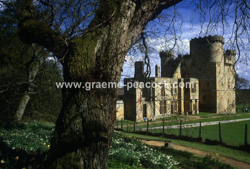 Belsay Castle, Belsay Estate, Northumberland