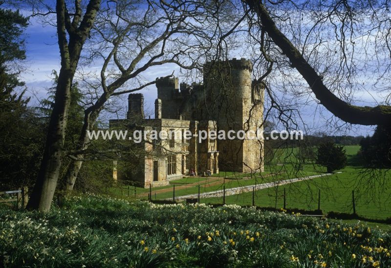 Belsay Castle, Belsay Estate, Northumberland