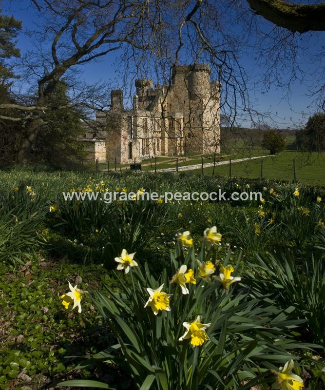 Belsay Castle, Belsay Estate, Northumberland