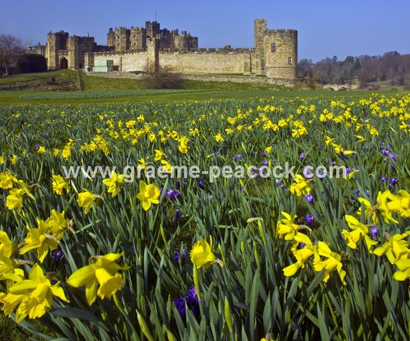 Alnwick Castle, Alnwick, Northumberland