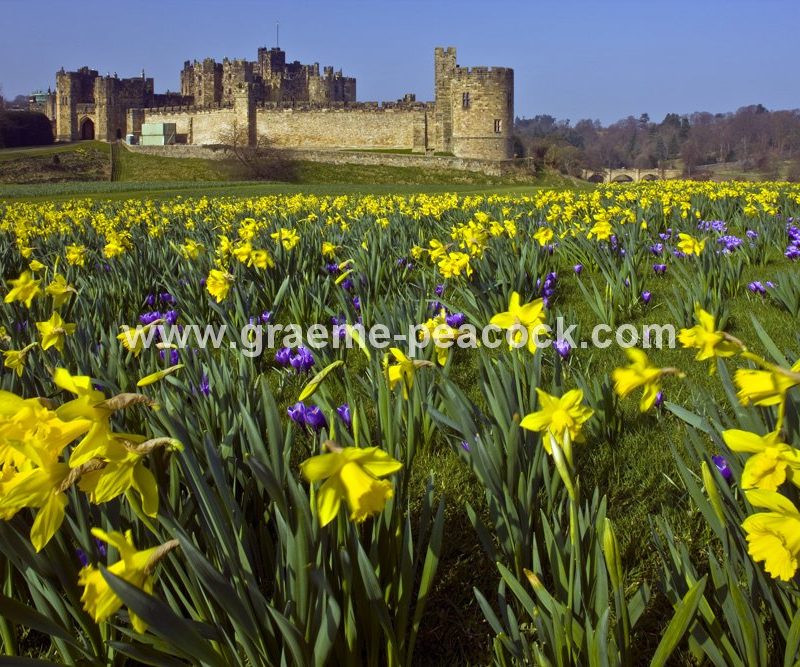 Alnwick Castle, Alnwick, Northumberland