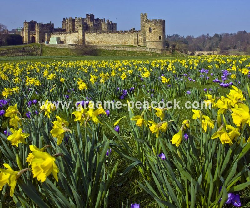 Alnwick Castle, Alnwick, Northumberland
