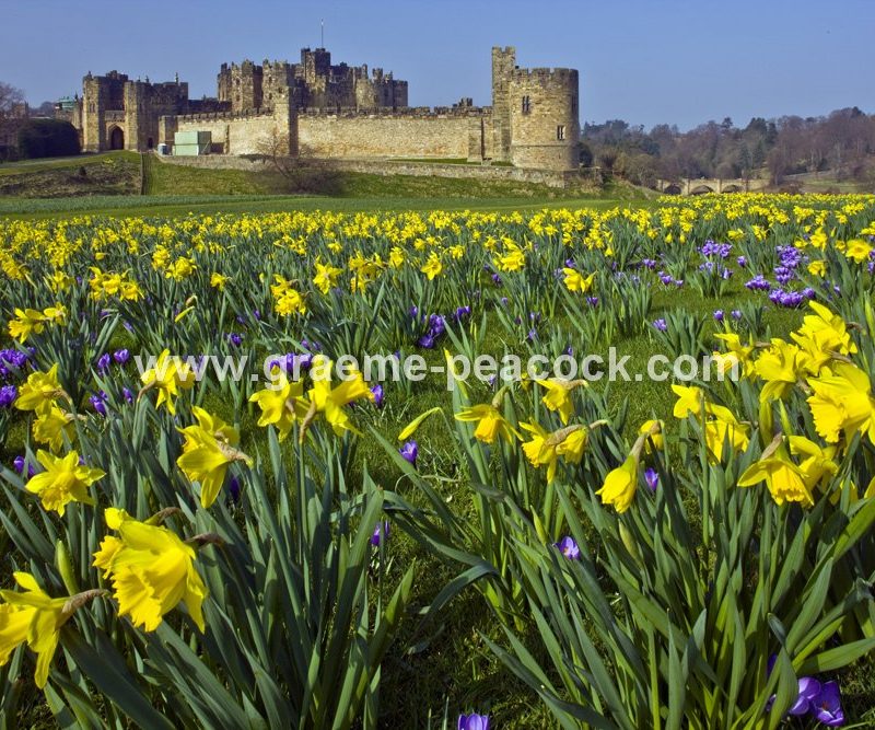 Alnwick Castle, Alnwick, Northumberland