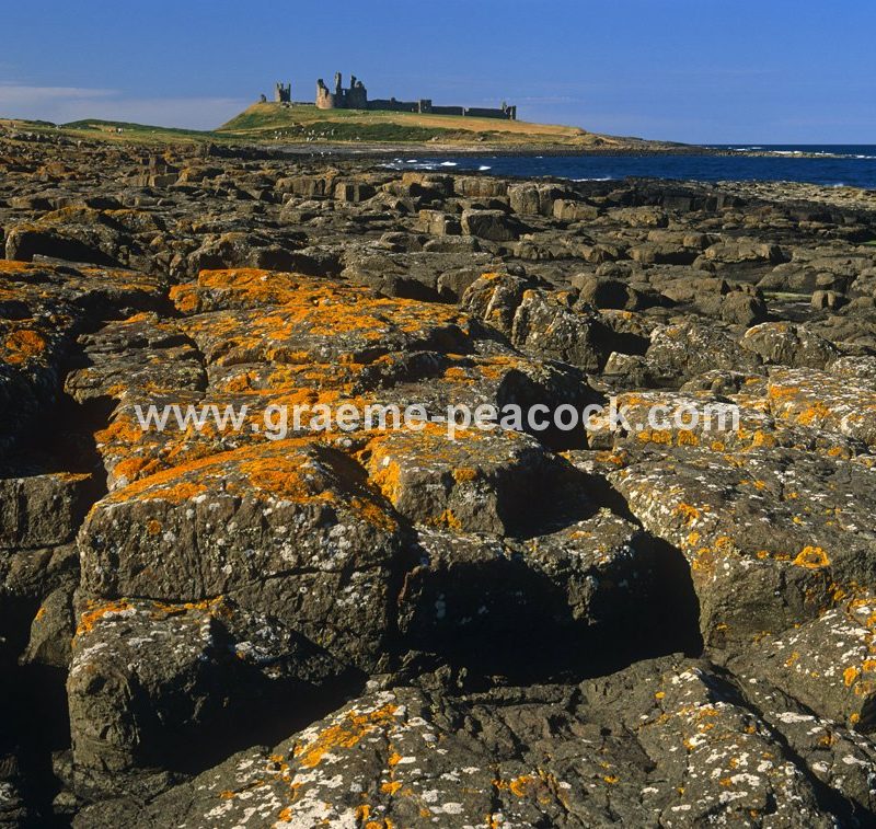 Dunstanburgh Castle, Embleton, Northumberland