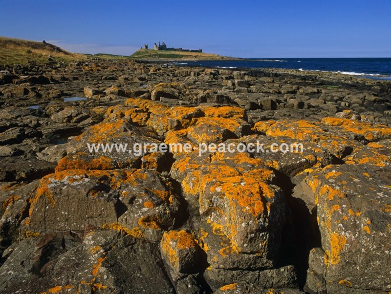 Dunstanburgh Castle, Embleton, Northumberland