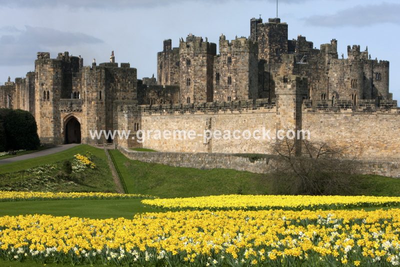 Alnwick Castle in Spring, Alnwick, Northumberland