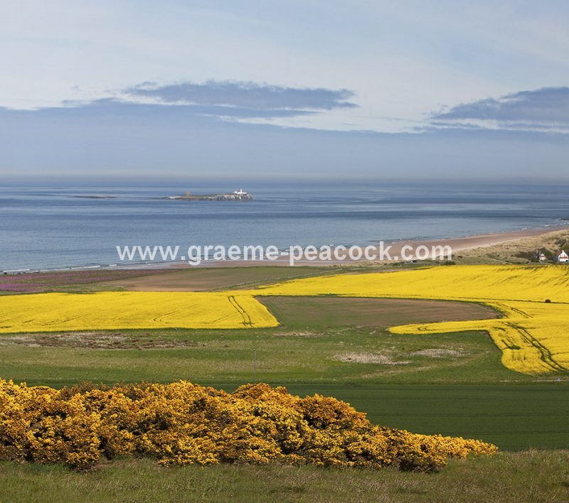 Bamburgh Castle and beach, Bamburgh, Northumberland