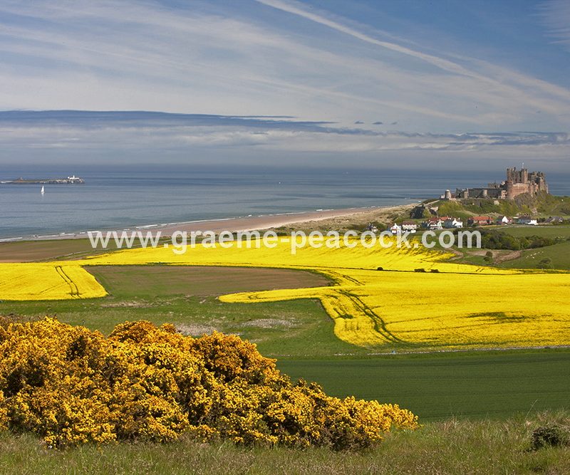 Bamburgh Castle and beach, Bamburgh, Northumberland